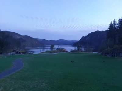 Overnight timelapse in front of a house in Norway shows lots of deer feeding in the early morning hours...and talking to each other!?
