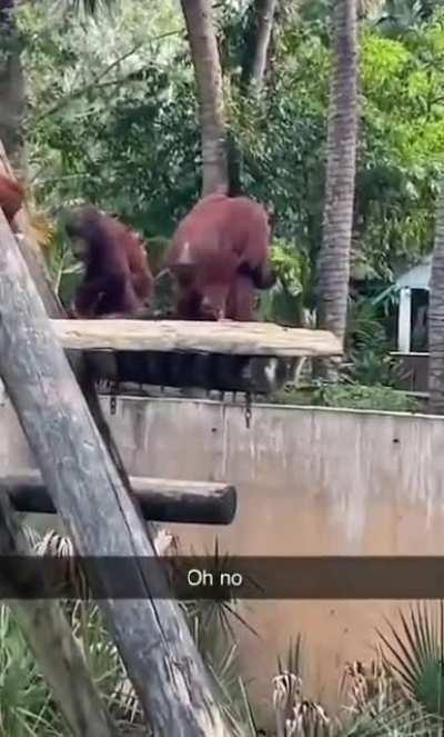 They Just Like Us Fr