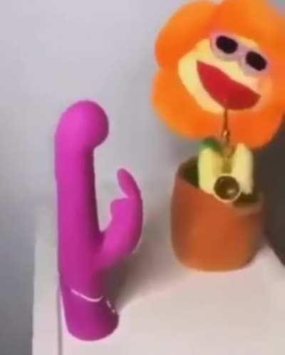 i need the flower rn