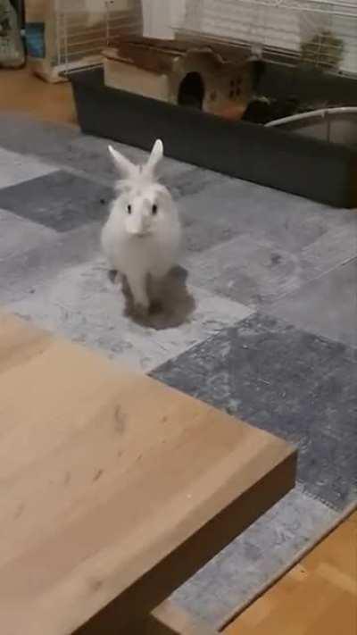 There is no escape now