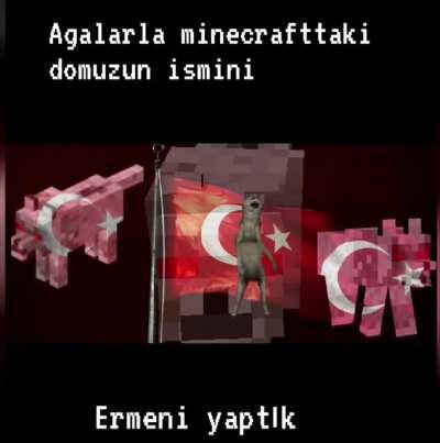 Vatan kurtarıldı.