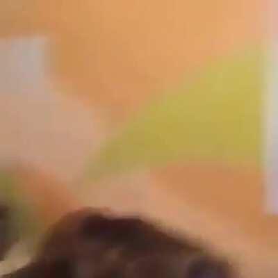 😴 oahhhh gobre autra