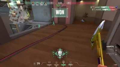 What's your opinion on shotguns?