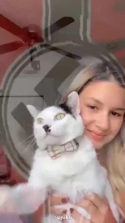 blursed_cat