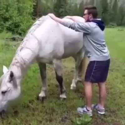 WCGW trying to jump on a wild horse