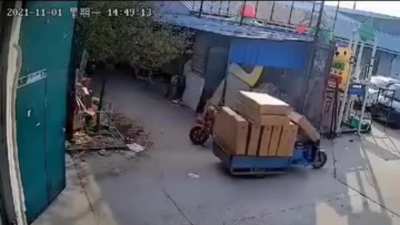 Bro turned on autopilot mode