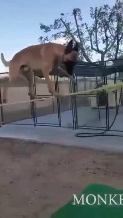 It's really incredible actually.