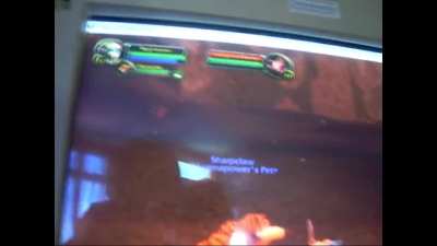 It's 2007, TBC is finally here! You are almost a teenager. Life is good.