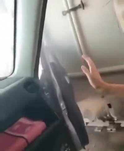 Play stupid games, win stupid prizes