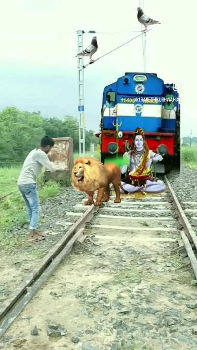 how did har get stuck in the train tracks? is he stupid?