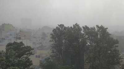 Summer shower, summer shower