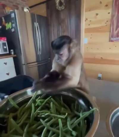 His face when he snap it