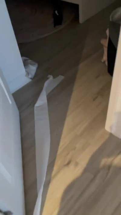 The guiltiest guilt face that ever guilted