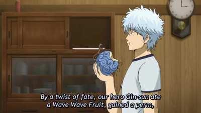 The show in nutshell (Gintama)