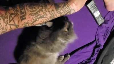 I'm not sure if he likes me. 🤔