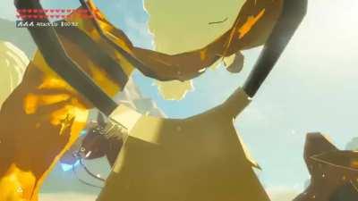 I killed a gold lynel in under 10 seconds using a horse