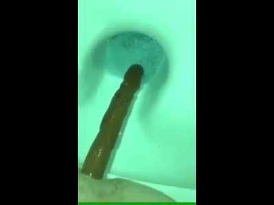 Aww, what a cute snake!🥺🥺