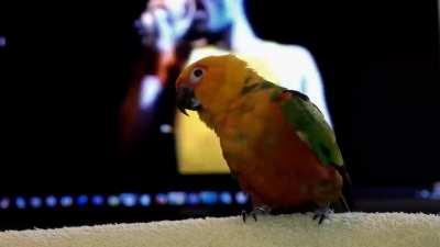 Little buddy feeling the beat