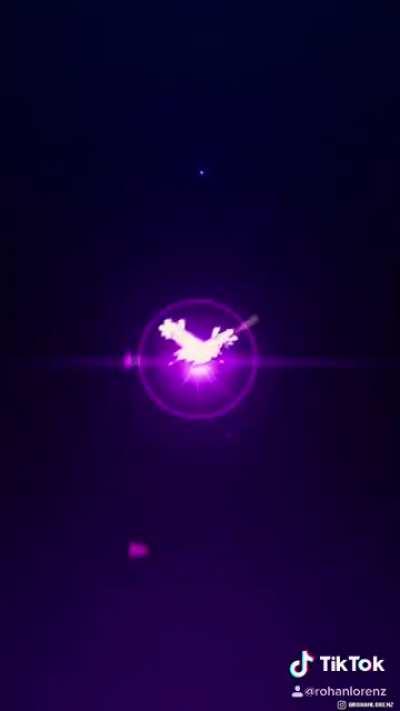 Made a tribute to the King