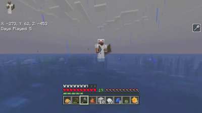 Bugrock animation bug