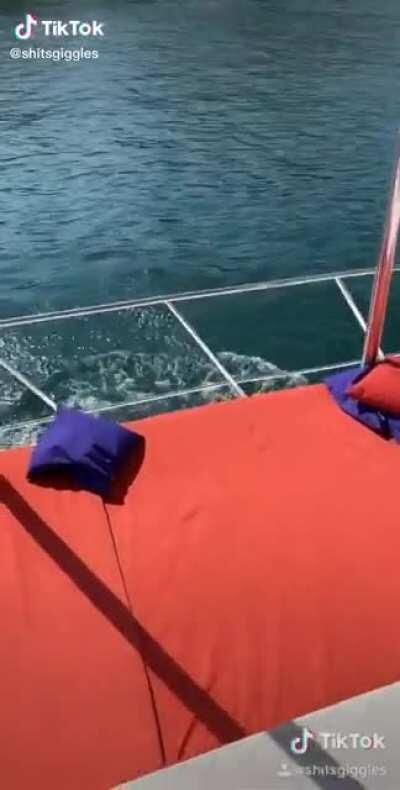 DBS jumping off the boat