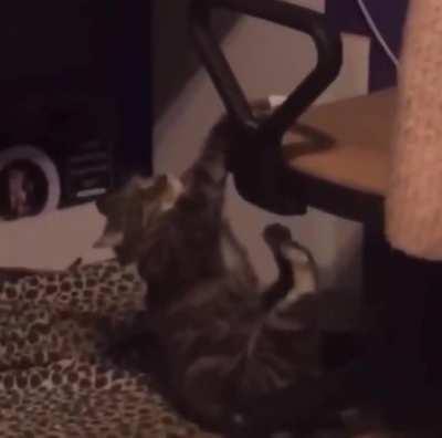 This may have been a bad idea