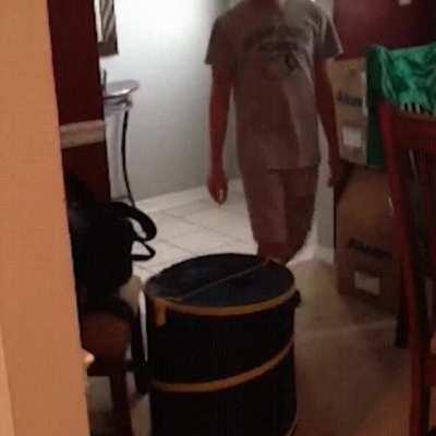 I said if you didn't get me wet food this was going to happen jimmy