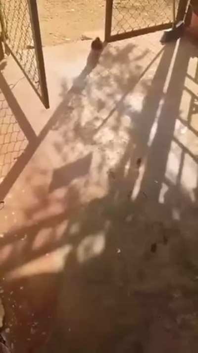 Trying to create mail-system on C@