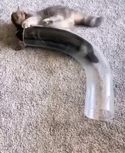 i don’t understand cats