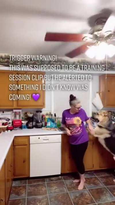 Dog smells epileptic seizure before the human experiences it