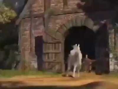 All four Shrek movies.