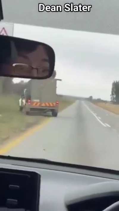 Transporting a Lion