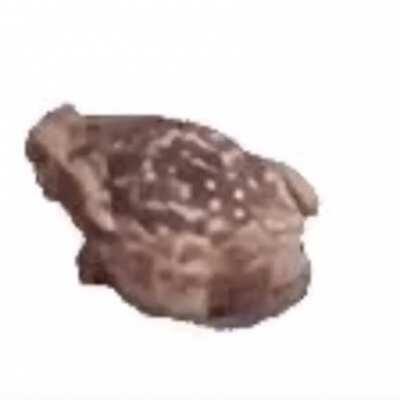 You can use this as wells