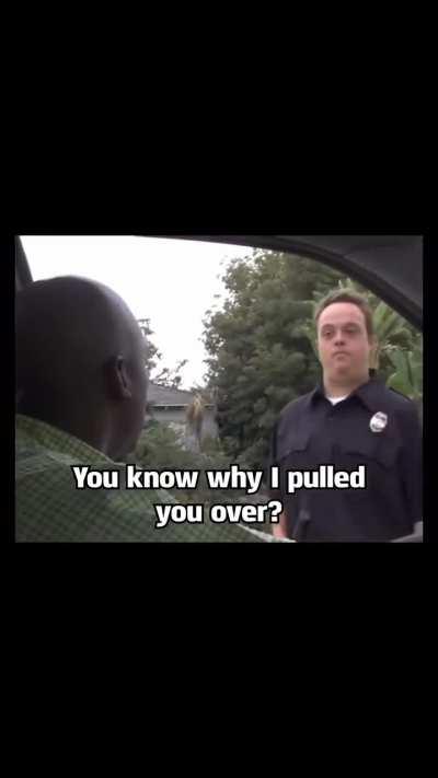 What do you mean, WHAT DO YOU MEAN?