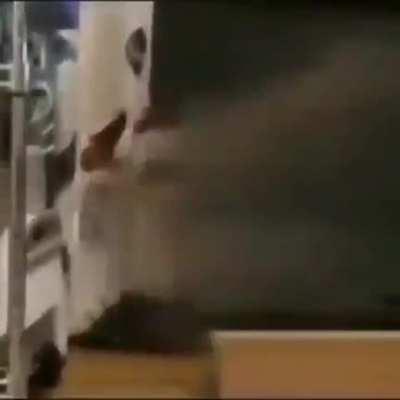 El canal principal del Cristian: