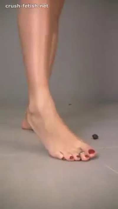 Snail Crush Susan - Bug Crushed