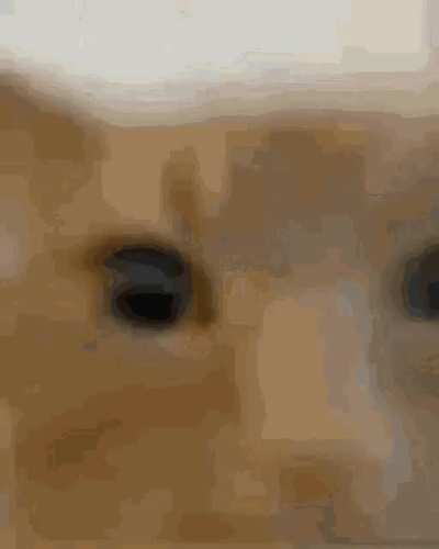 IejrbrgehhDAMNoejrbebwj