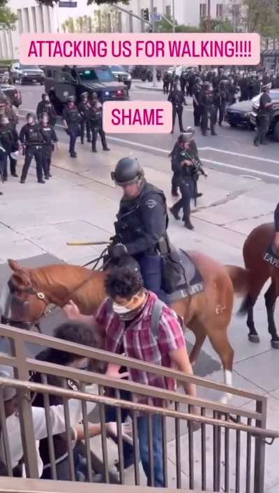 LAPD on horseback beating peaceful protestors with batons