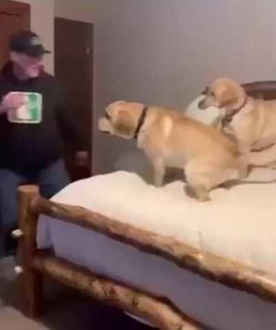 “No jump...only float!!”