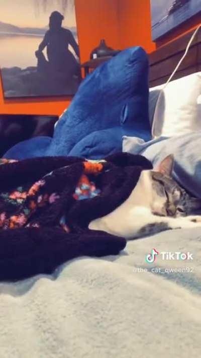 🎵That’s why I love Nestlé Crunch!🎵