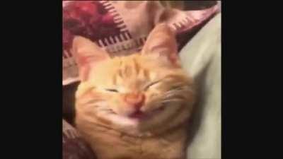 Not my scrunge but very cute