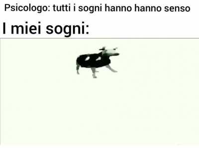 memesITA - Video #0212