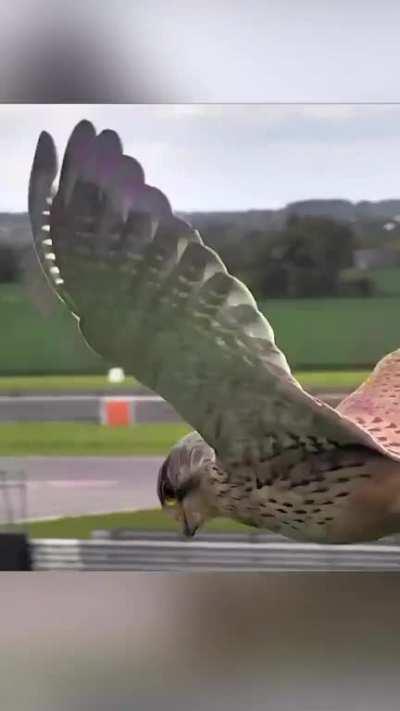 Bro reached End of the map! 😂