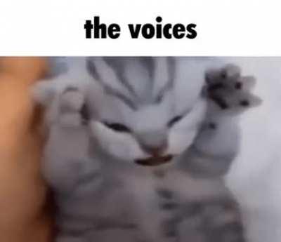 GET OUT OF MY HEAD! GET OUT OF MY HEAD! GET OUT OF MY HEAD!