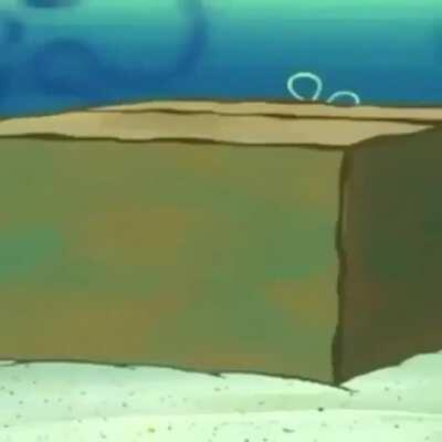 Nooooo que hiciste calamardo