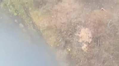 UA drone tracks Russian soldier who knowingly leads it back to his manned position, where the drone then drops a grenade on him and another Russian soldier (Bakhmut area)