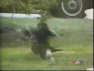 Crow feeds and befriends stray kitten, couple films the unlikely pair's friendship for over 8 months.