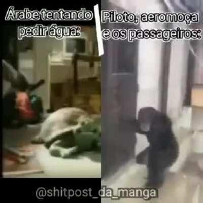 عنوان مثير للاهتمام