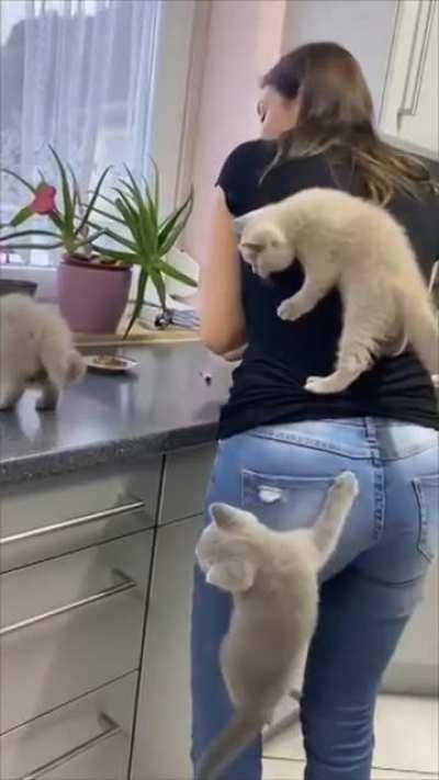 to prepare food peacefully