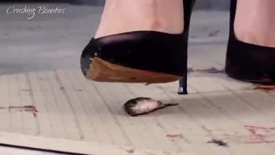 Where’s the invite ladies? I’m a single malt whiskey fan myself and I’m sure I have a few followers who wouldn’t mind joining the party..  Not sure what they drink, maybe they could tell us below! 😉